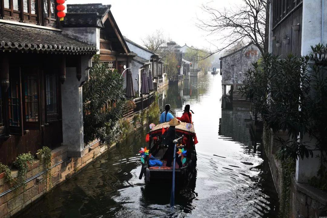 细胞分裂4